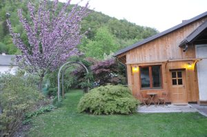 Apartma Tulipan 11